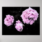 roze rozen poster (Voorkant)