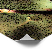 Roze Rozen Poster - Digitale foto Bloemenkunst (Hoek)