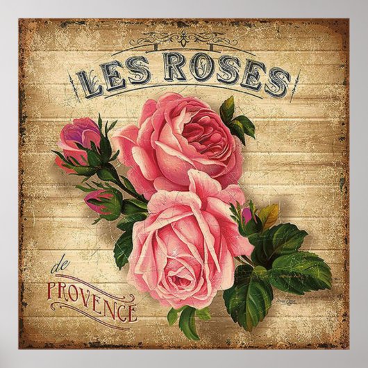  roze rozen poster kantoor decor (Voorkant)