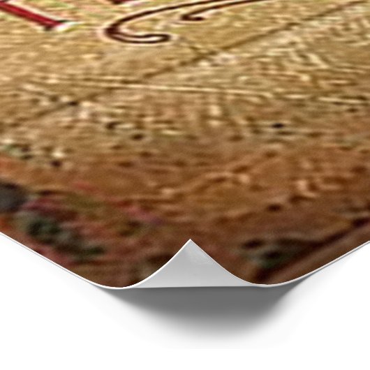  roze rozen poster kantoor decor (Hoek)