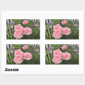 Roze rozen rechthoekige sticker (Vel)