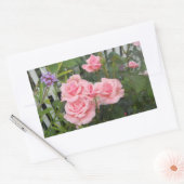 Roze rozen rechthoekige sticker (Envelop)