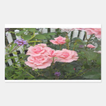 Roze rozen rechthoekige sticker