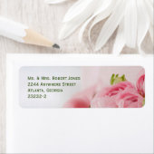 Roze rozen - Retouradreslabels (30/vel) Etiket (Insitu)