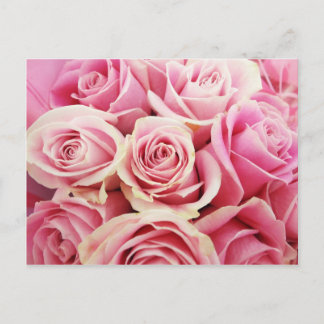 Roze Rozen Rose Boeket Rosey Roze Bloemen Struik Briefkaart
