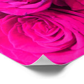 Roze rozen roze bloemen roze bloemig poster (Hoek)