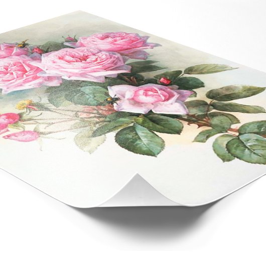  roze rozen schilderen foto afdruk (Hoek)