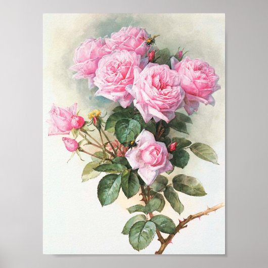 roze rozen schilderen poster (Voorkant)