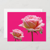 Roze rozen sluiten Cust. BG Kleur DIY Briefkaart (Voorkant / Achterkant)