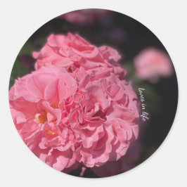 Roze Rozen stickers