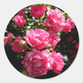 Roze rozen stickers (Voorkant)
