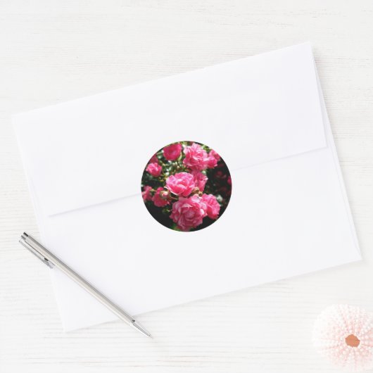 Roze rozen stickers (Envelop)