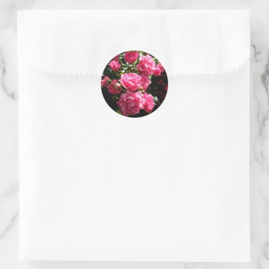 Roze rozen stickers (Tas)