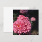 Roze Rozen stickers Kaart (Voorkant / Achterkant)