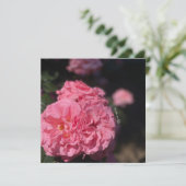 Roze Rozen stickers Kaart (Staand voorkant)
