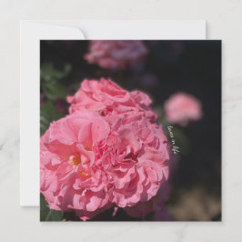 Roze Rozen stickers Kaart