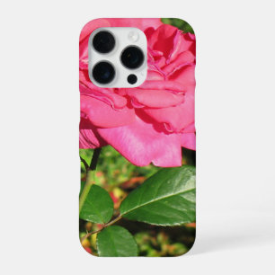 Roze rozen telefoonhoesjes iPhone 16 pro hoesje
