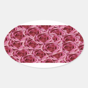 Roze rozen ticker ovale sticker