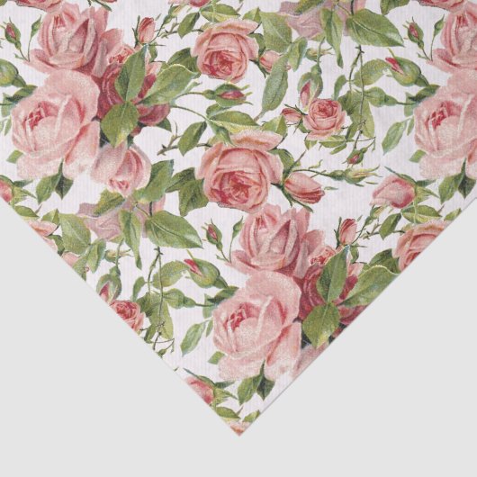   roze rozen tissuepapier (Detail)