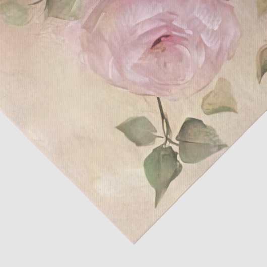  roze rozen tissuepapier (Detail)