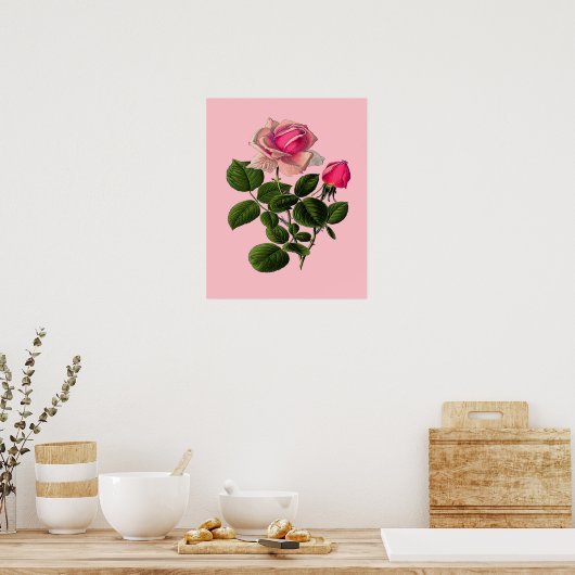 Roze Rozen van thee Poster (Keuken)