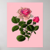 Roze Rozen van thee Poster (Voorkant)