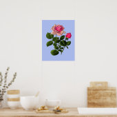 Roze Rozen van thee Poster (Keuken)