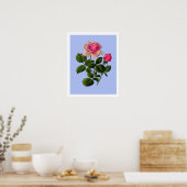 Roze Rozen van thee Poster (Keuken)