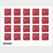 Roze rozen vierkante sticker (Vel)