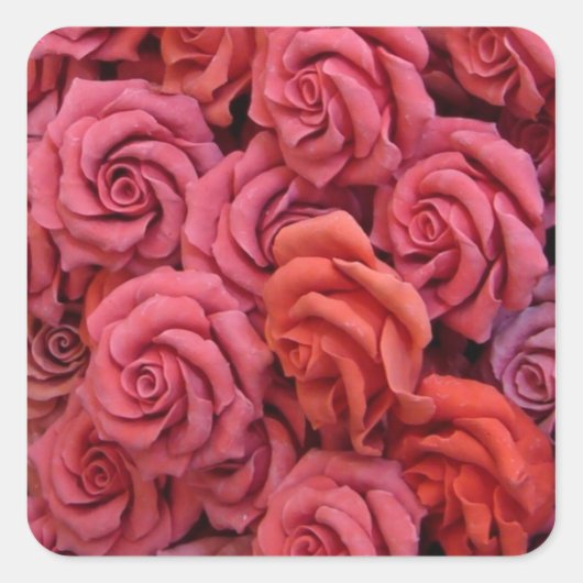 Roze rozen vierkante sticker (Voorkant)