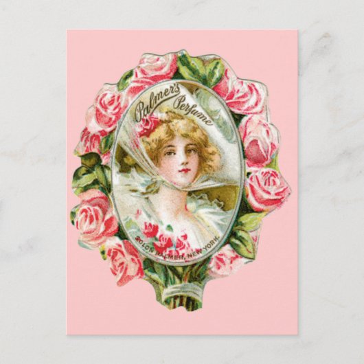 Roze rozen voor parfum van de Palmers Briefkaart (Voorkant)
