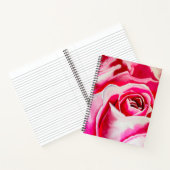 Roze rozen watercolor kunst notitieboek (Binnen)