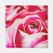 Roze rozen waterverf kunst magneet (Voorkant)