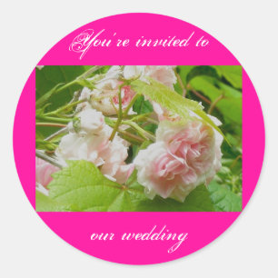 Roze rozen weddenschappen ronde sticker