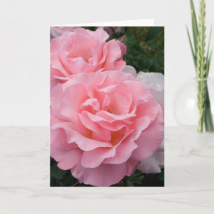 Roze Rozen Wenskaart Kaart