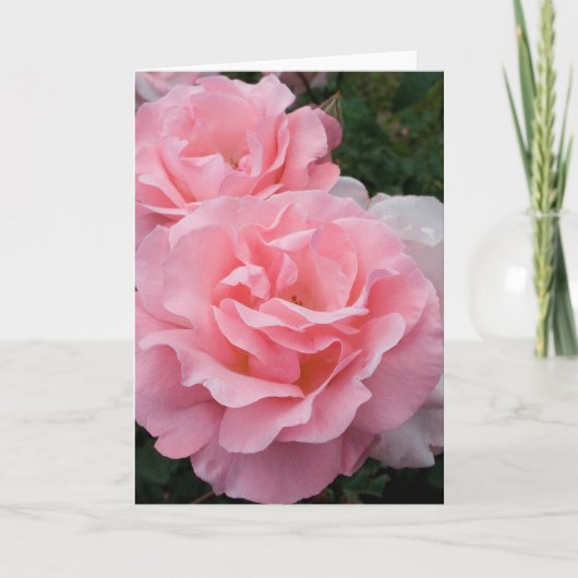 Roze Rozen Wenskaart Kaart (Voorkant)