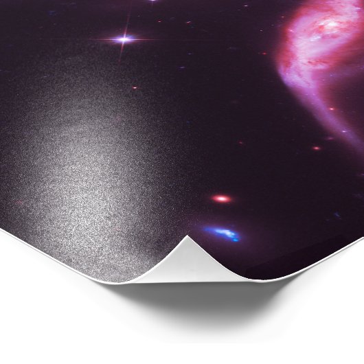 Roze rozenbijlen foto afdruk (Hoek)