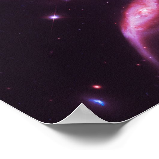 Roze rozenbijlen poster (Hoek)