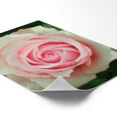 Roze rozenblaadje spiraal poster (Hoek)