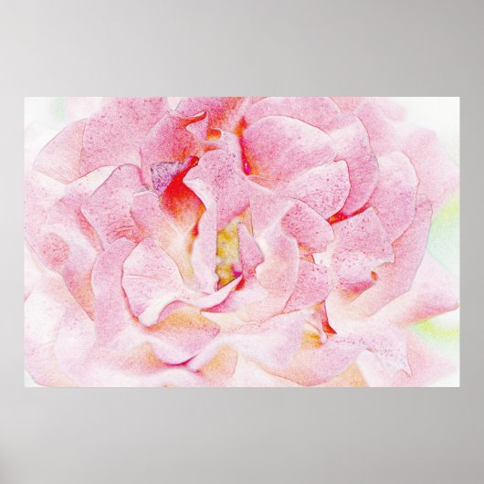 Roze rozenblaadjes Art Poster (Voorkant)