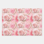 Roze rozenblaadjes Bloemen Stripes Verjaardag Inpakpapier Vel (Voorkant 3)