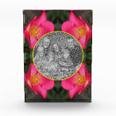 Roze rozenblaadjes Lijst Creëer Uw Eigen Fotoblokken (Voorkant)