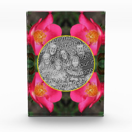 Roze rozenblaadjes Lijst Creëer Uw Eigen Fotoblokken (Voorkant)