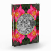 Roze rozenblaadjes Lijst Creëer Uw Eigen Fotoblokken (Links)