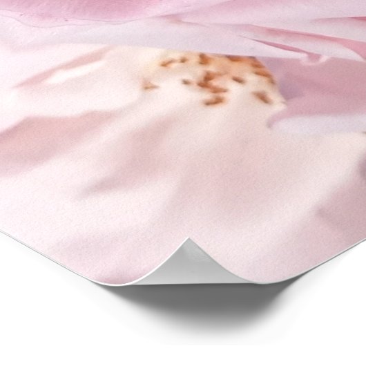 Roze Rozenblaadjes Spiraal van Liefde Digitale Kun Poster (Hoek)