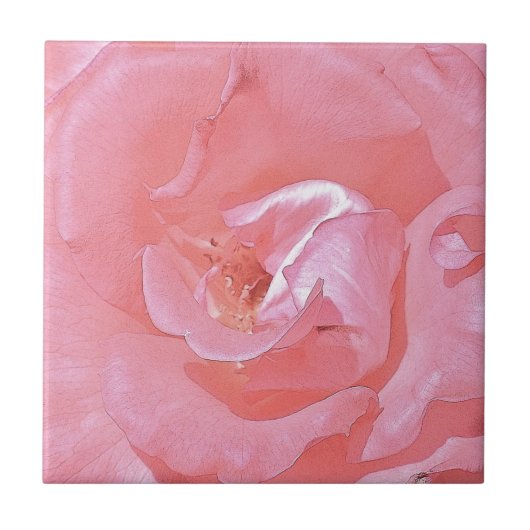 Roze rozenblaadjes Tegel Tegeltje (Voorkant)