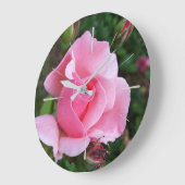 roze rozenbloei grote klok (Hoek)