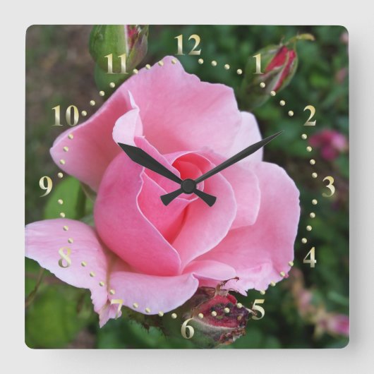 roze rozenbloei vierkante klok (Voorkant)
