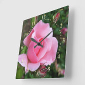 roze rozenbloei vierkante klok (Hoek)