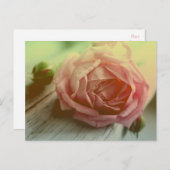  Roze Rozenbloem Bloemen Bloemen Briefkaart (Voorkant / Achterkant)